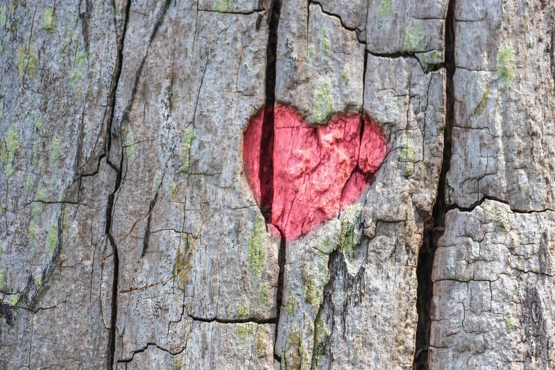 Broken Heart
